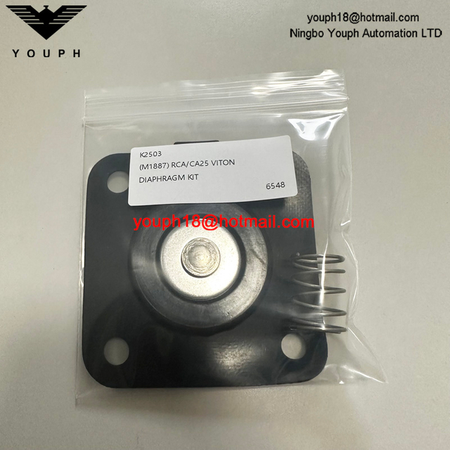 Goyen K2503 M11887 1" Pulse Valve High Temperature Viton Diaphragm Repair Kit