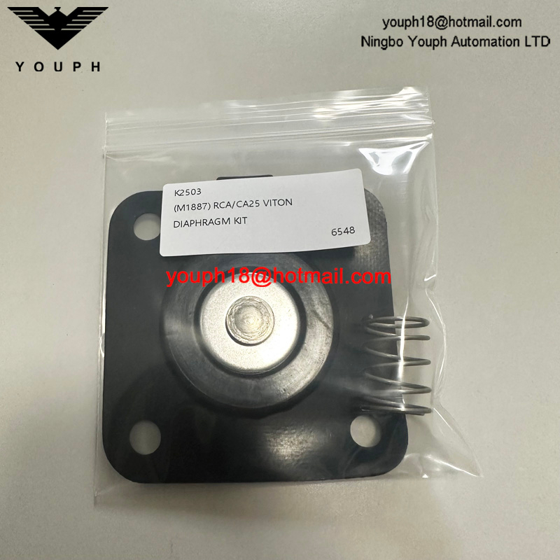 Goyen K2503 M11887 1" Pulse Valve High Temperature Viton Diaphragm Repair Kit