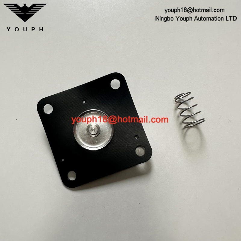 REPAIR KIT FOR DIAPHRAGM VALVE 8493635.0000.0000 DN65 102-SMALL 107-LARGE SPRING 105-SMALL 108-LARGE DIAPHRAGM