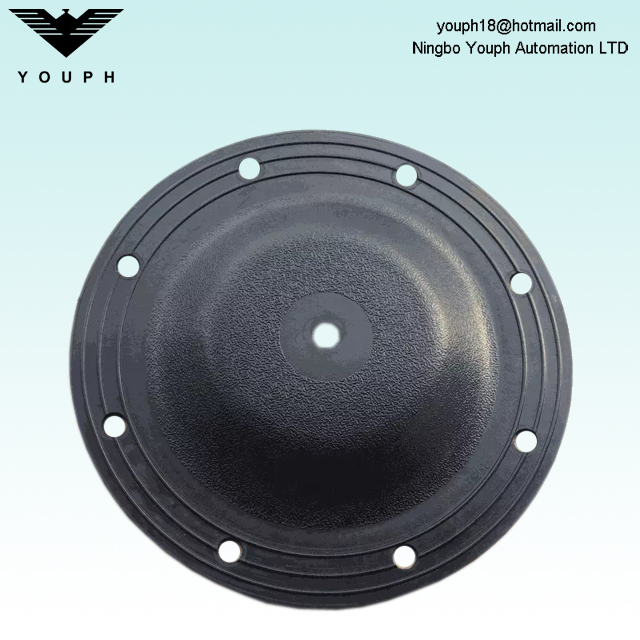V183N-1 V183BN-1 Versa-Matic E1 Series Pumps Diaphragm parts