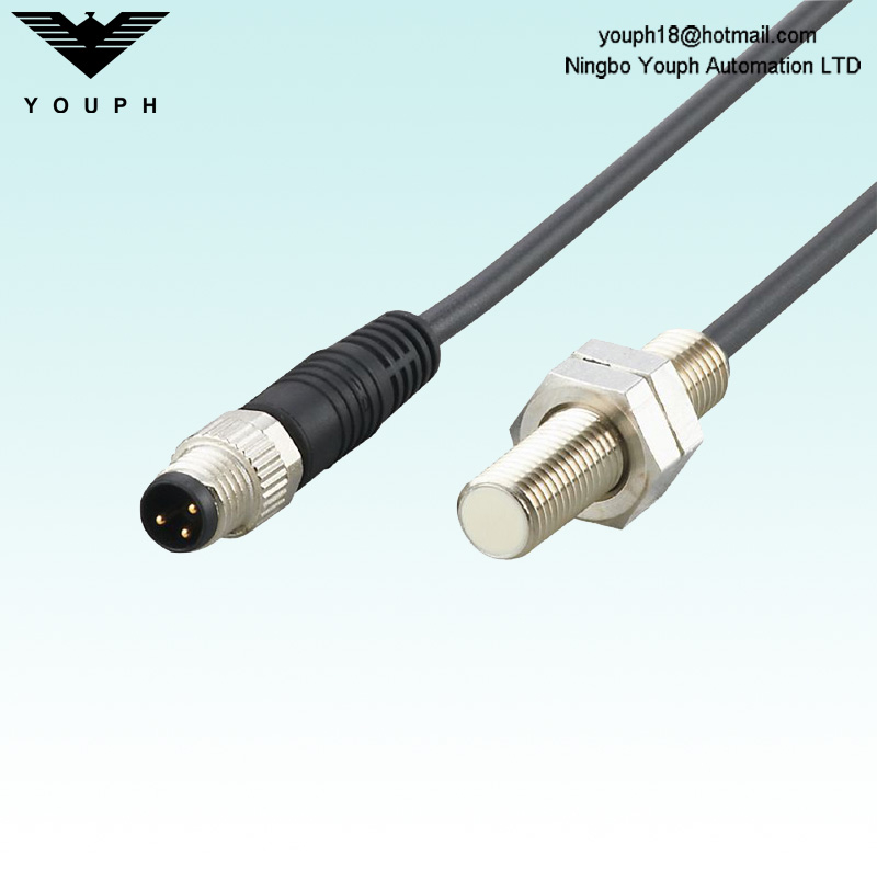 IFM IE5388 IEB3002BAPKG/0 8M/FH/AS Inductive Sensor
