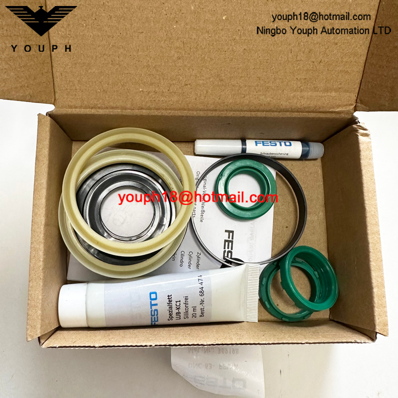 Festo DNC-63-PPVA 369198 DNC Cylinder Set of wearing parts