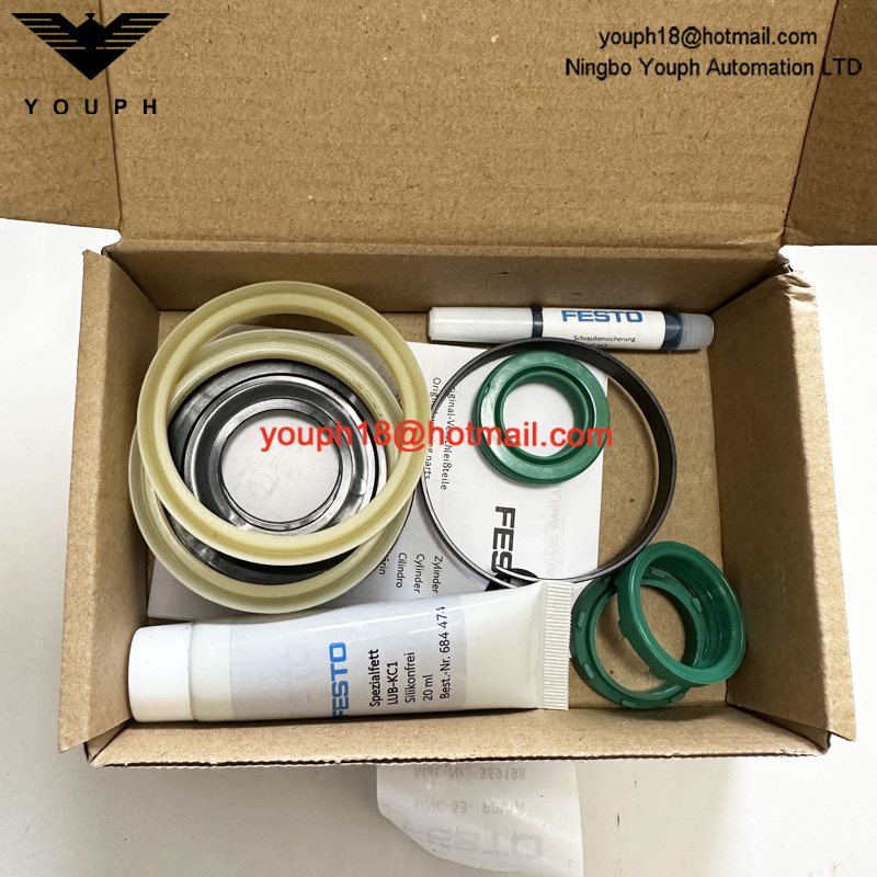 Festo DNC-63-PPVA 369198 DNC Cylinder Set of wearing parts