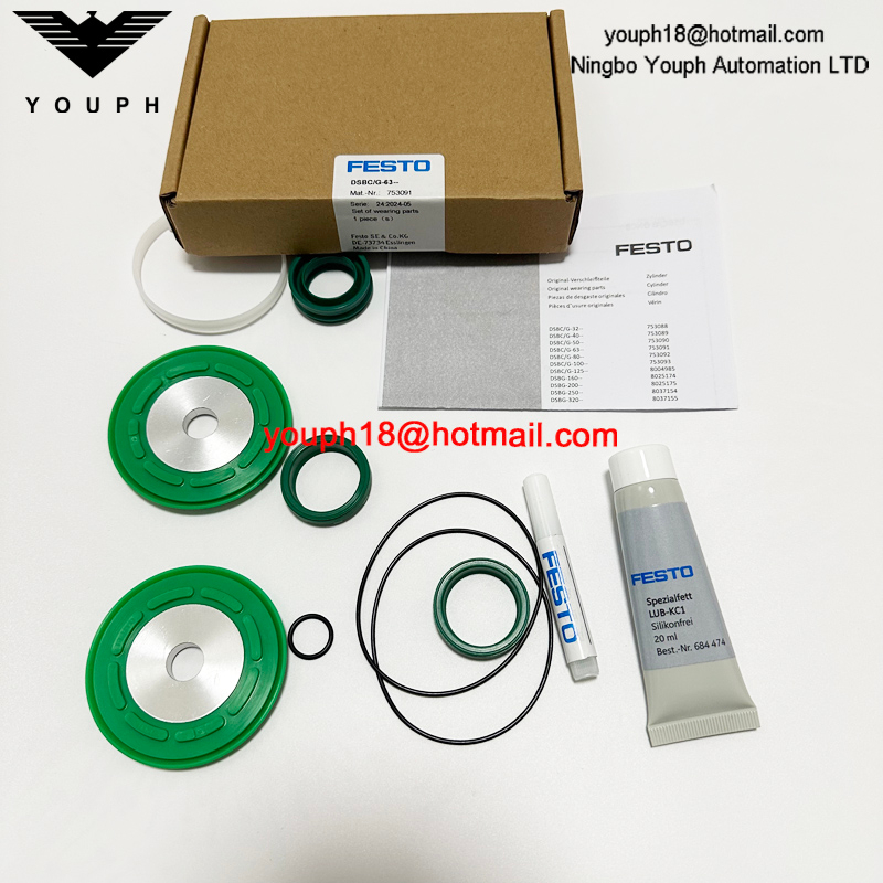 Festo DSBC/G-63-- 753091 DSBC-50 Cylinder Seals Set of wearing parts