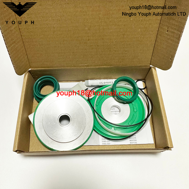 Festo DSBC/G-100-- 753093 DSBC100 Cylinder Seal Set of wearing parts Repair Kit