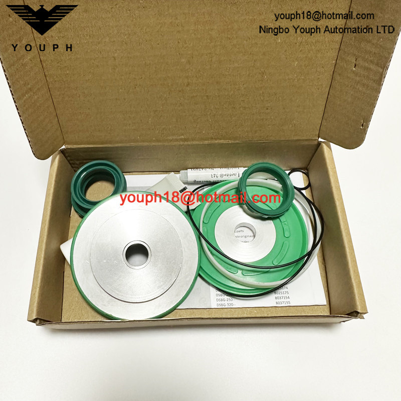 Festo DSBC/G-100-- 753093 DSBC100 Cylinder Seal Set of wearing parts Repair Kit