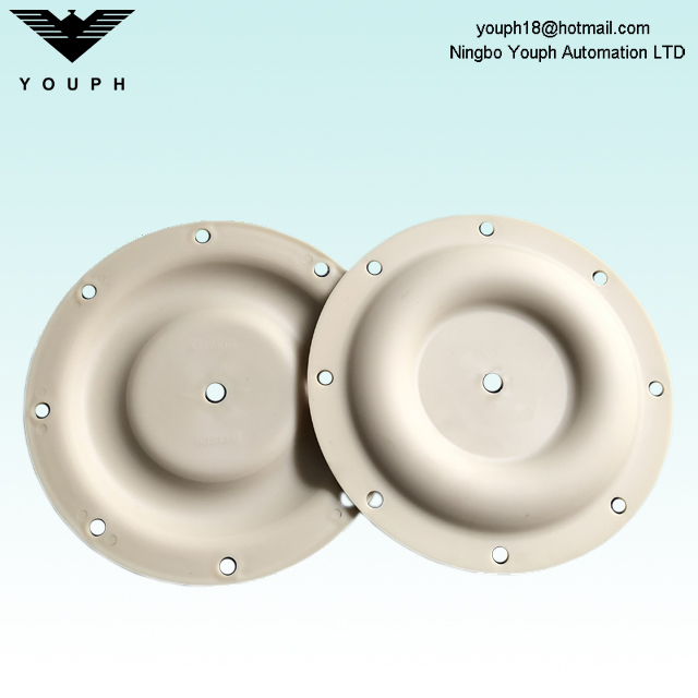 Ingersoll Rand 93459-4 PTFE Diaphragm Diameter 196mm for 1" ARO Diaphragm Pumps 