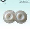 E505TF VERSA-MATIC 1/2 inch PTFE Diaphragm 