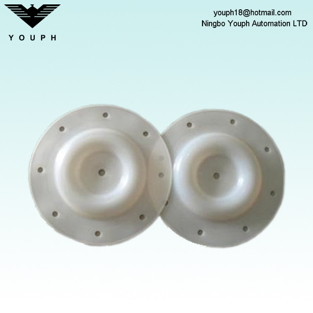 E505TF VERSA-MATIC 1/2 inch PTFE Diaphragm 