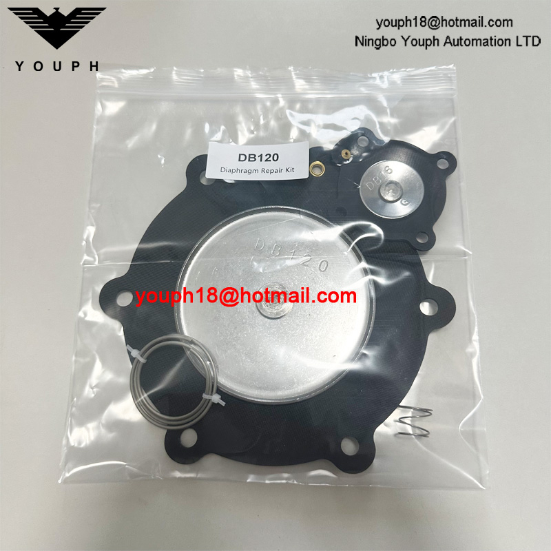 DB120 DB16 Pulse Solenoid Valve VEM220 VNP220 VEM420 VNP420 2.5 inch Diaphragm Repair Kit