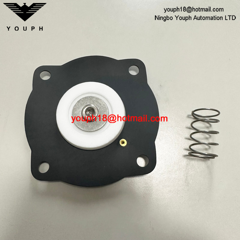 Goyen K2551 RCAC25T4 RCAC25T4012 RCAC25DD4 Pulse Jet Valve VITON Diaphragm Repair Kit