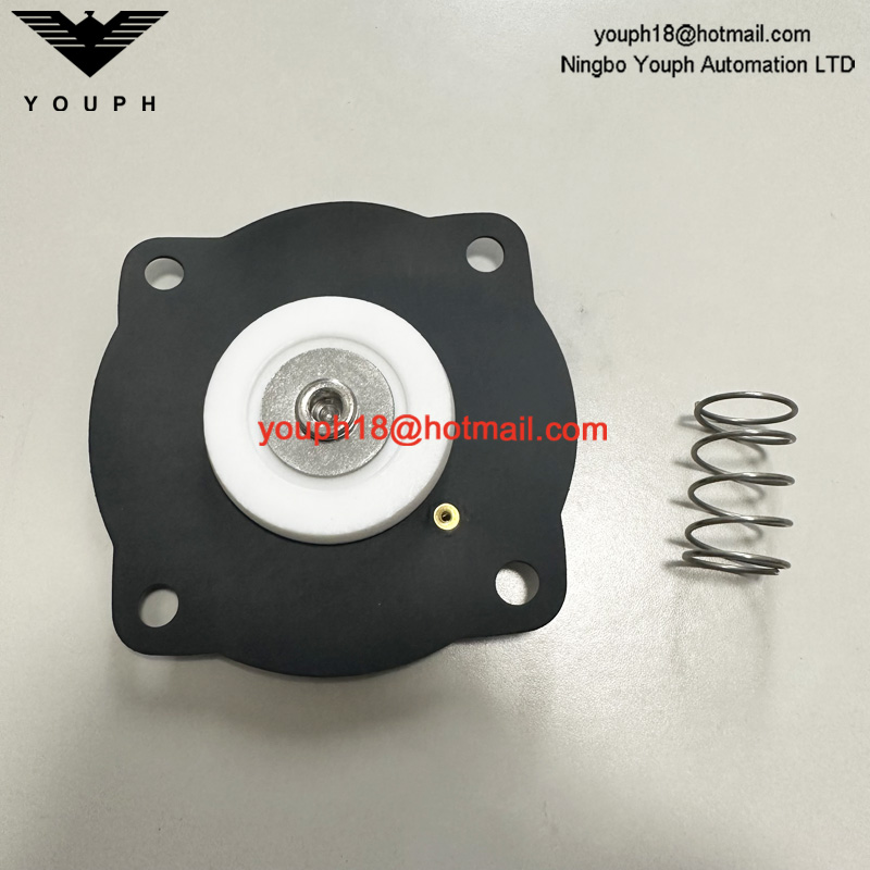 Goyen K2551 RCAC25T4 RCAC25T4012 RCAC25DD4 Pulse Jet Valve VITON Diaphragm Repair Kit
