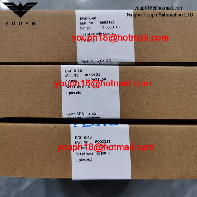 Festo DGC-K-40 8002121 DGC-K Linear drive Cylinder Actuator Repair Kit