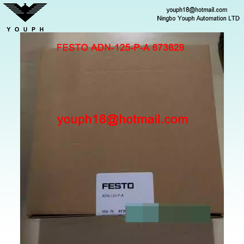 Festo ADN-125-P-A 673629 ADN-125 Compact cylinders ADN/AEN Repair Kit