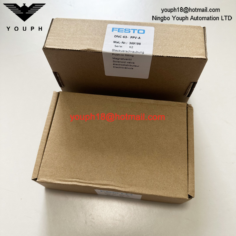 Festo DNC-63-PPVA 369198 DNC Cylinder Set of wearing parts