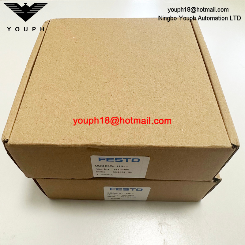 Festo DSBC/G-125-- 8004985 DSBC125 Standad Cylinder Repair Kit