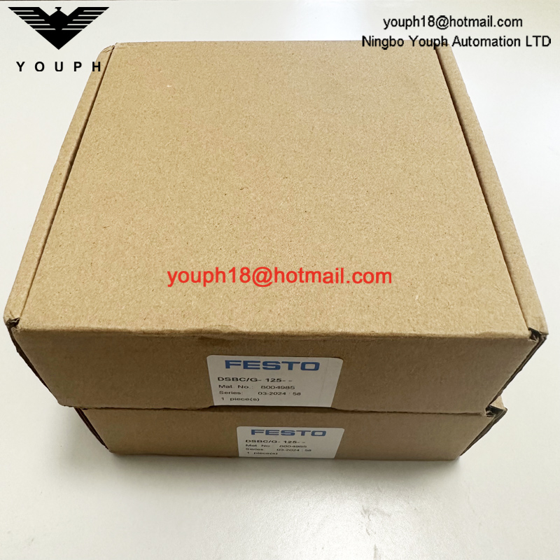 Festo DSBC/G-125-- 8004985 DSBC125 Standad Cylinder Repair Kit