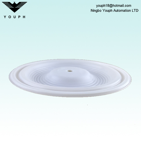 Wilden 02-1010-55 PTFE Membrane for P2 P200 1 inch Pneumatic Diaphragm Pumps
