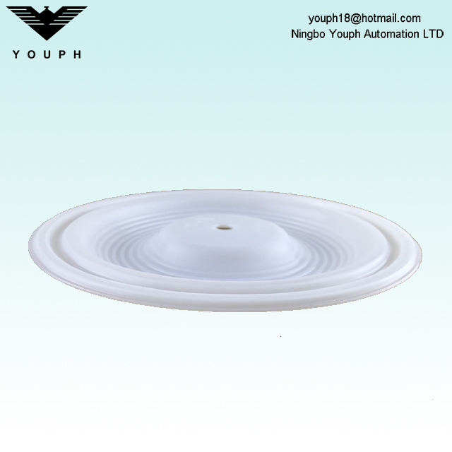 Wilden 02-1010-55 PTFE Membrane for P2 P200 1 inch Pneumatic Diaphragm Pumps