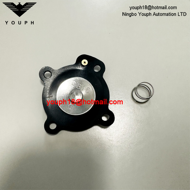 DB16 VEM206 VNP206 VEM306 VNP306 Diaphragm Valve Repair Kit