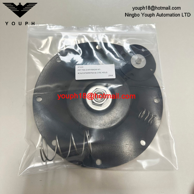Goyen K7600 M1798 RCA76MM CA76MM 3" Nitrile 3 BL hole BUNA Diaphragm Repair Kit