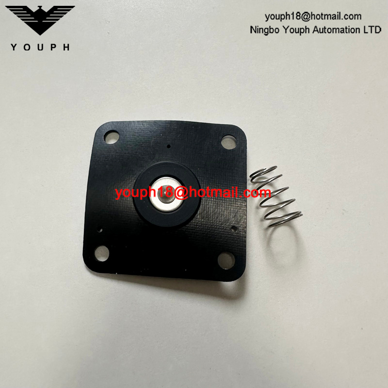 REPAIR KIT FOR DIAPHRAGM VALVE 8493635.0000.0000 DN65 102-SMALL 107-LARGE SPRING 105-SMALL 108-LARGE DIAPHRAGM