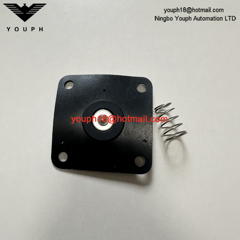 REPAIR KIT FOR DIAPHRAGM VALVE 8493635.0000.0000 DN65 102-SMALL 107-LARGE SPRING 105-SMALL 108-LARGE DIAPHRAGM
