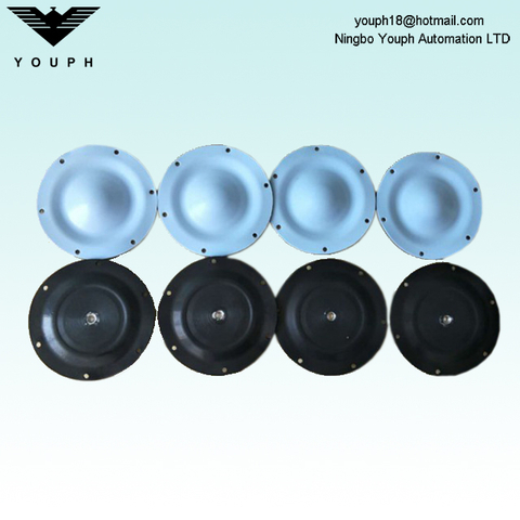 DM15 DM20 DELLMECO 6 mounting holes EP/C PTFE diaphragm outer diameter 144mm