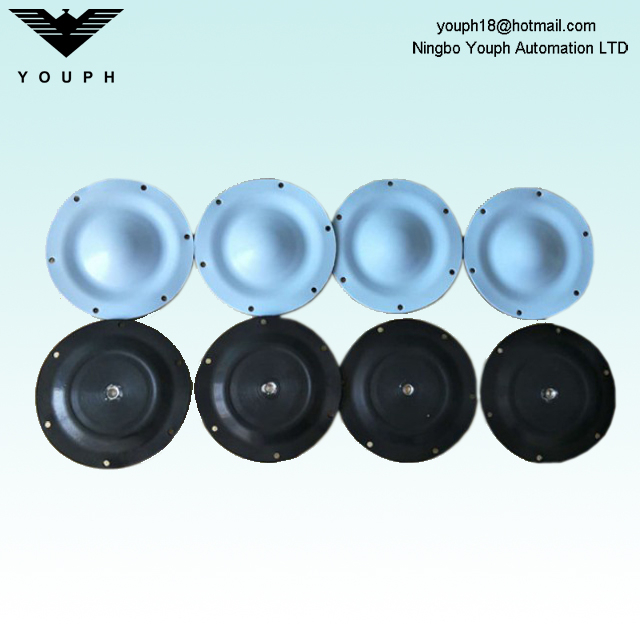 DM15 DM20 DELLMECO 6 mounting holes EP/C PTFE diaphragm outer diameter 144mm