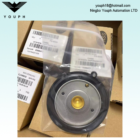 97701879 Diaphragm Kit of ASCO solenoid valve SCG238F017 SCG238F018