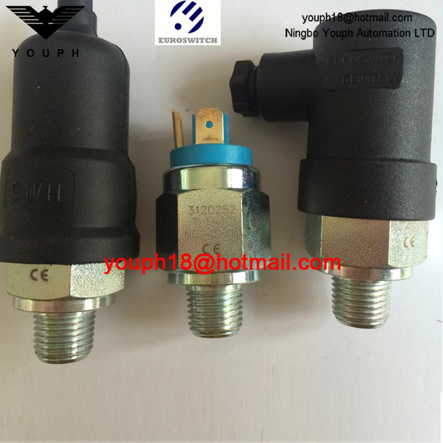 Euroswitch 3120252 31V10224 31V20224 31 31V Series hydraulic machine FKM Diaphragm pressure switch