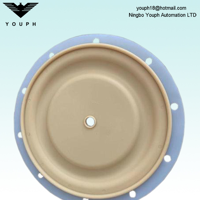 PTFE 6259 BSK-40 BA40AL 1.5" Pneumatic Pumps Diaphragm Accessories