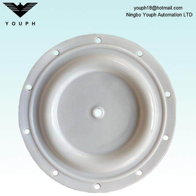 BSK-50 PTFE Diaphragm 6296 Outer Diameter 330mm BSK 2 inch Pumps BA50AL BA50PP Accessories