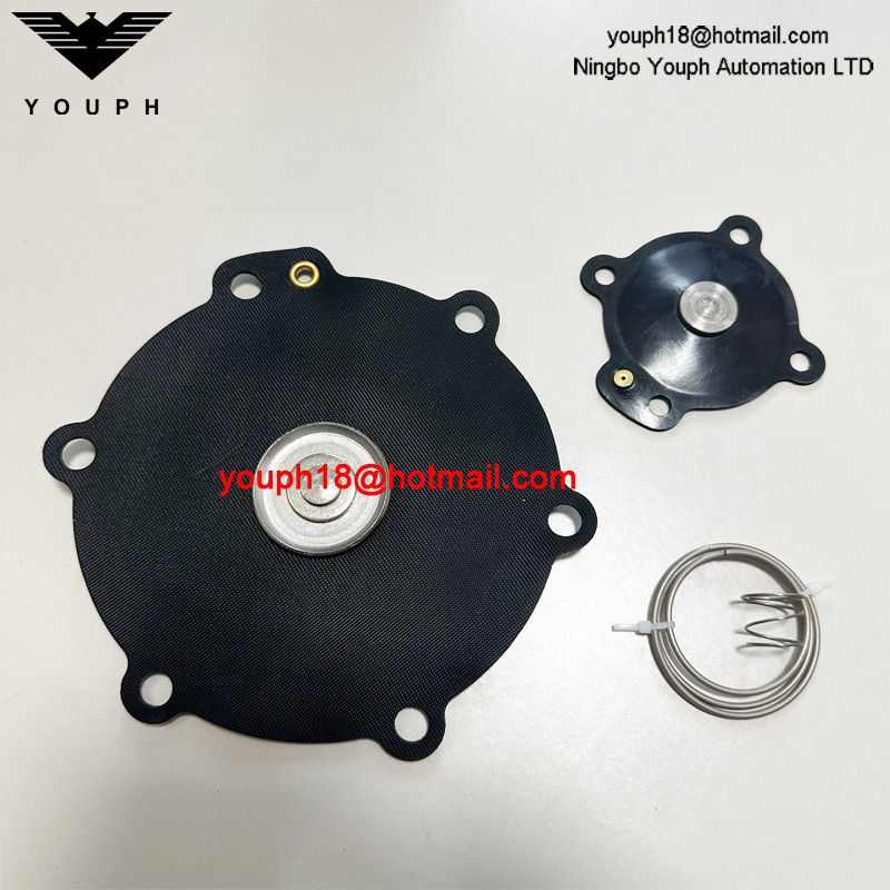 DB116 DB16 Pulse Valve VEM216 VNP216 VEM416 VNP416 2" DN50 Nitrile Viton Diaphragm Repair Kit