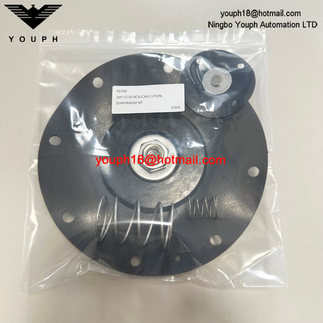 Goyen K5000 M1157A RCA/CA62T VITON Diaphragm Repair Kit