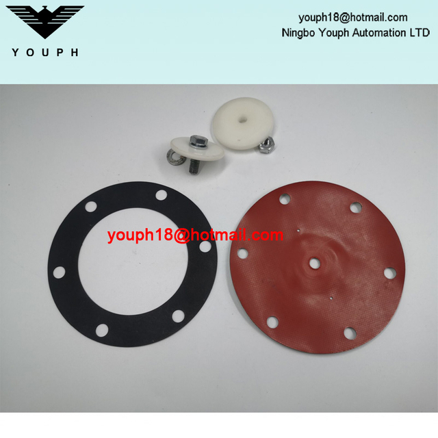 IABB FLAKT V2578363-0300 Pulse Valve Repair Kit