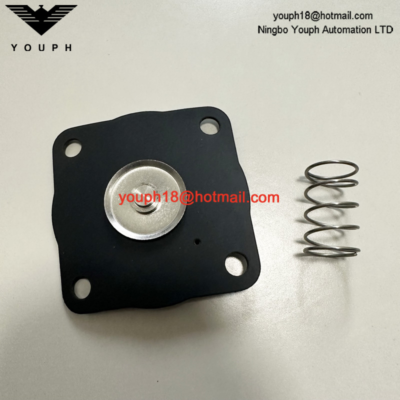 Goyen K2033 RCAC20 RCAC20FS4 RCAC20ST4 Pulse Valve Viton Diaphragm Kit