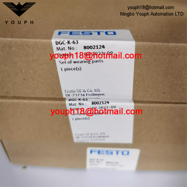 Festo DGC-K-63 8002124 DGC-K Linear Drive Set of wearing parts