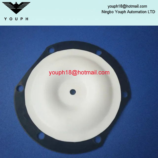 CHANGJIANG QSM-CJ602 Pneumatic Bidirectional Diaphragm Pump Corrosion Resistant Diaphragm