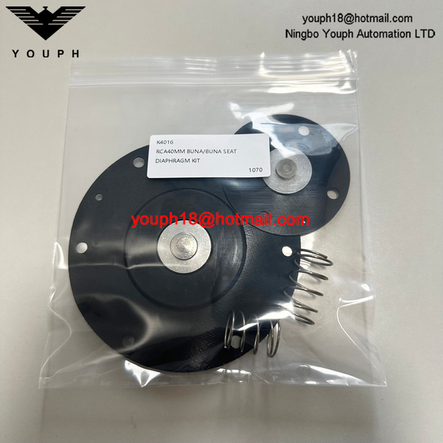 Goyen K4016 Diaphragm Valve CA40MM Diaphragm Repair Kit
