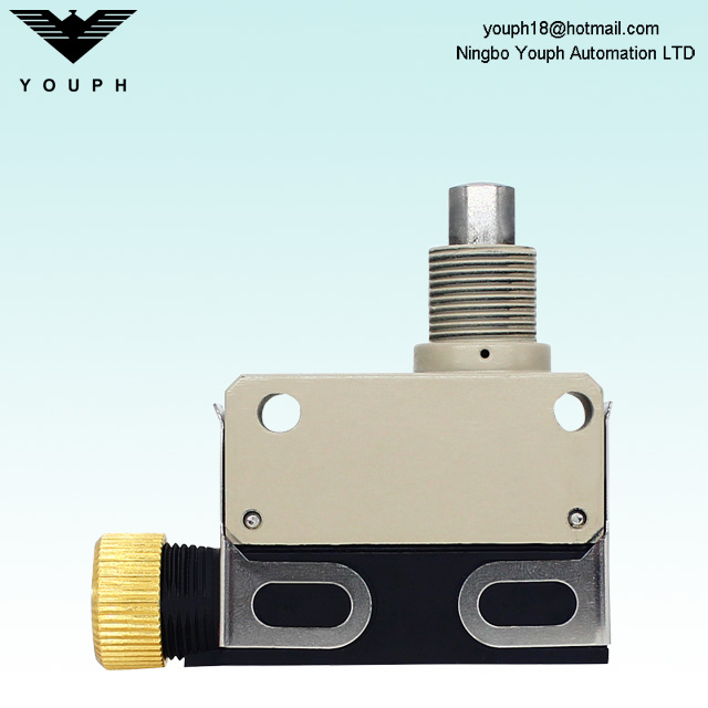 OMRON D4E-1C20N Small Sealed Switch Limit Switch