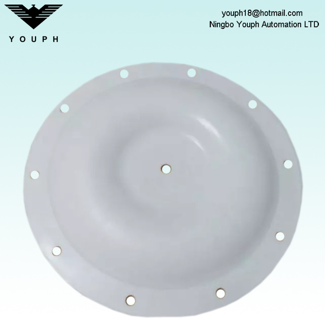 V227TF PTFE Diaphragm Part of Versa-Matic E40 E2HP Series Pneumatic Pumps