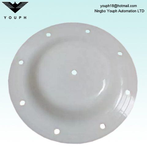 V183TF Versa-Matic E1 Series Pumps PTFE Diaphragm parts