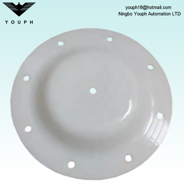 V183TF Versa-Matic E1 Series Pumps PTFE Diaphragm parts