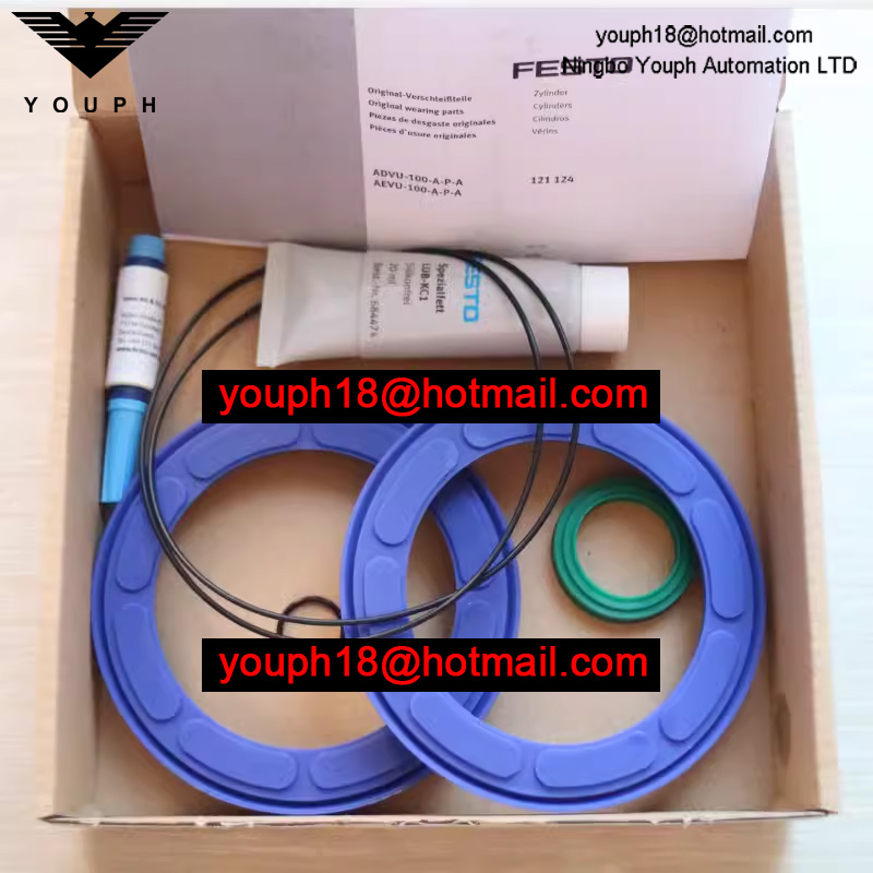 Festo ADVU/AEVU-100-A-PA 121124 ADVU 100 Cylinder Set of wearing parts