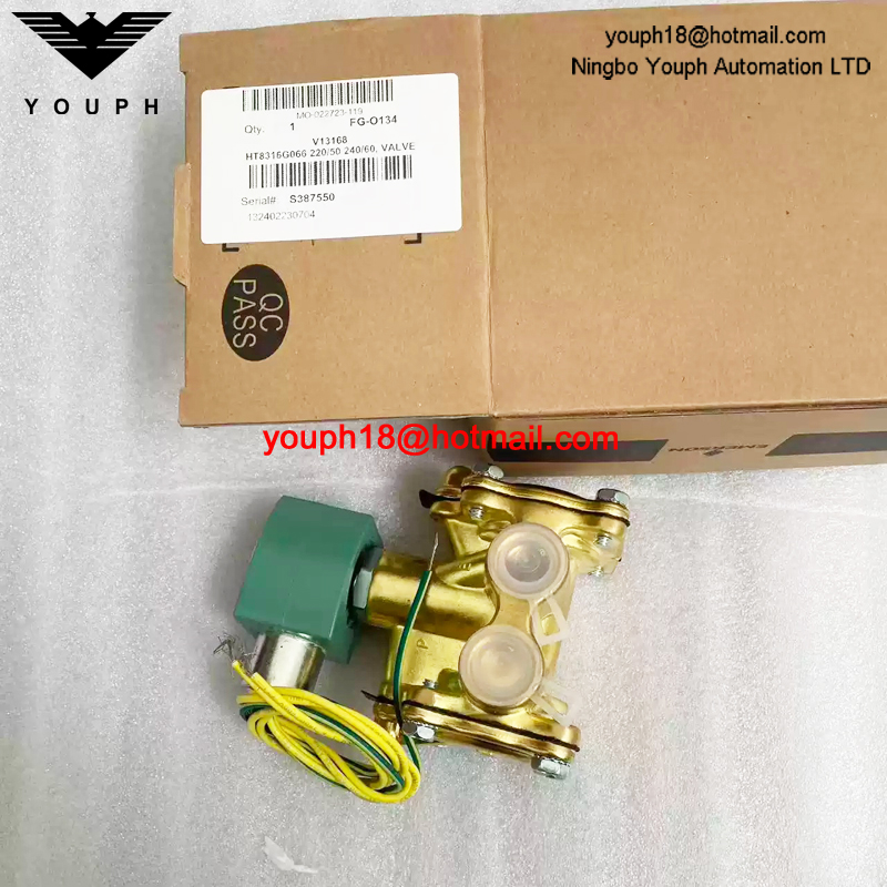 HT8316G066 220/50 ASCO 1/2NPT Electromagnetic Valve