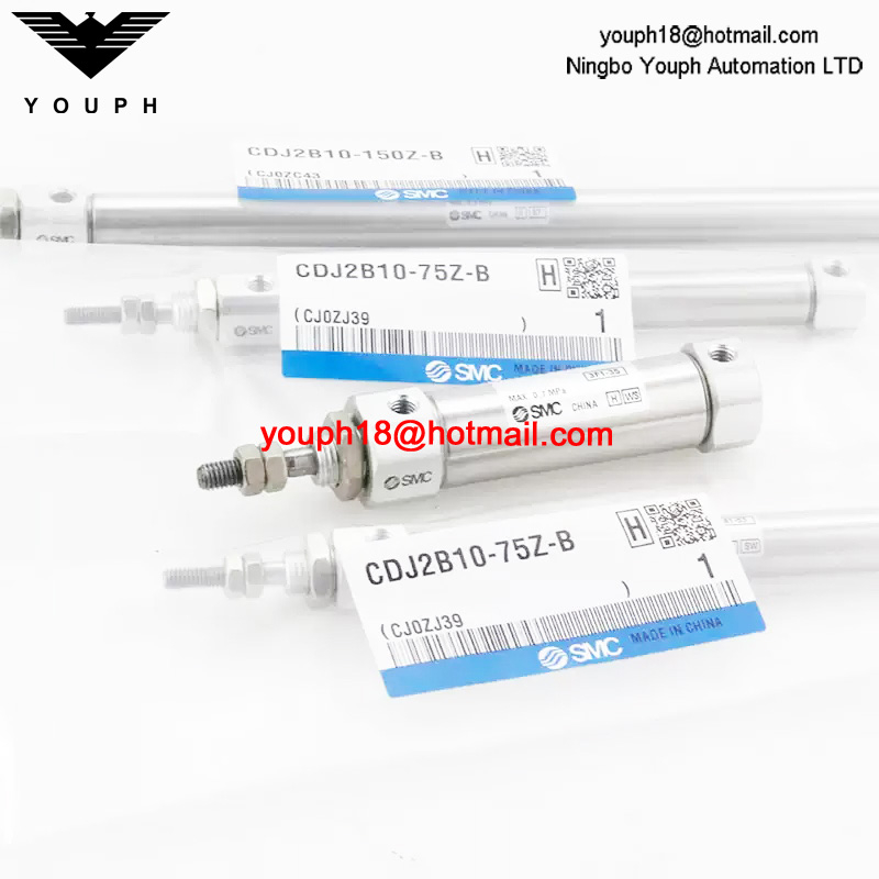 CDJ2B6-10-16-15-30-45-60-75-100-125ARZB SMC Stainless Steel Pneumatic Cylinder
