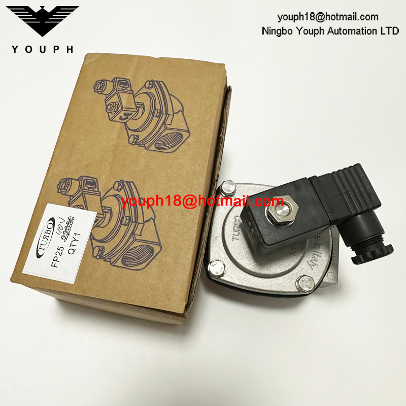 Italy Turbo FP25 TF025NPMSST G1 F series DN25 Threaded Pulse VALVE