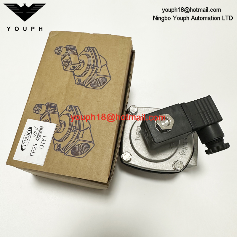 Italy Turbo FP25 TF025NPMSST G1 F series DN25 Threaded Pulse VALVE