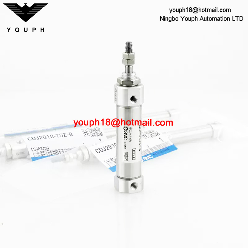 CDJ2B6-10-16-15-30-45-60-75-100-125ARZB SMC Stainless Steel Pneumatic Cylinder